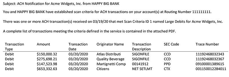 ACH Entry Alert Email Example
