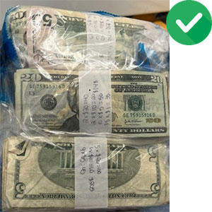 Bundled stacks of U.S. currency wrapped in paper bands, placed in a clear plastic bag, with a green checkmark icon in the corner.