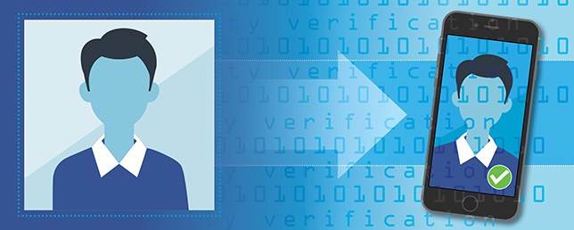 Illustration of person verifying identity on phone