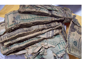 Liquid damaged currency